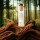 BIO BALANCE Gleitmittel 150ml - 100% natürlich und in Second Life & recyclebarer Flasche